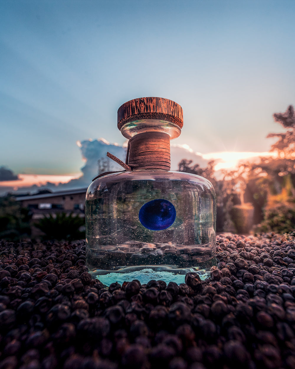 PROCERA Blue Dot. Der AWARD, der alle einfach stolz macht – THE GIN GUIDE AWARD 2023