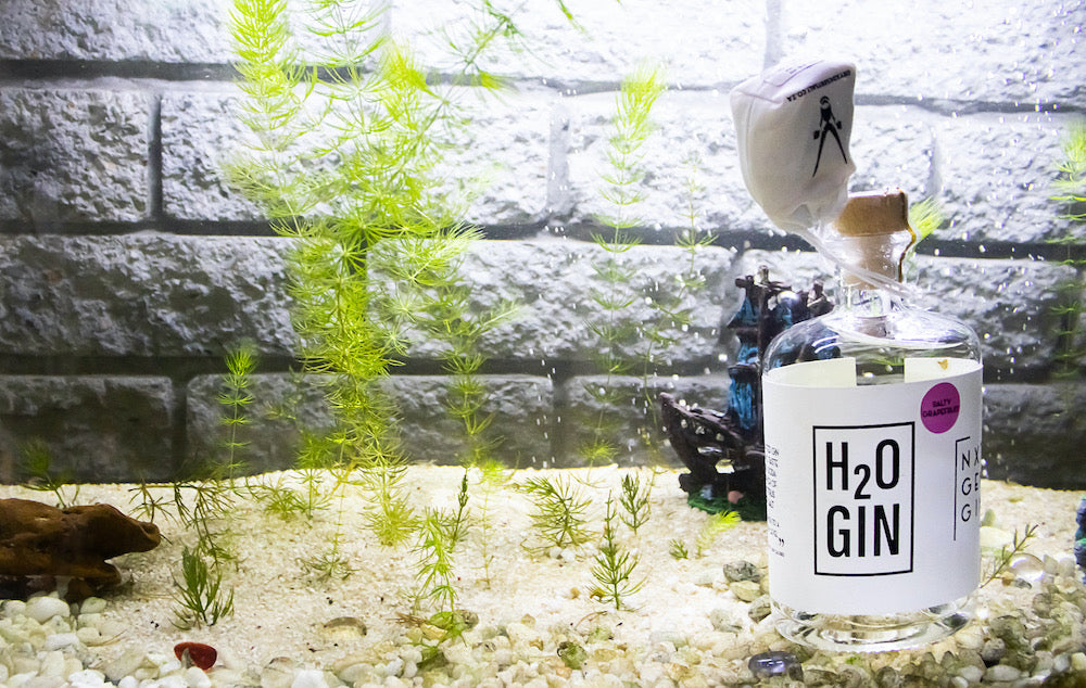 Neu! H2O Gin – Salty Grapefruit mit Oryx Citrus Wüsten Salz 🍊