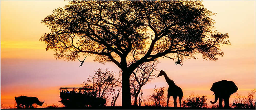 Gin Probierpakete – Miniaturen oder Großflaschen – bis zu 22% sparen  Die aufregende Gin Safari!