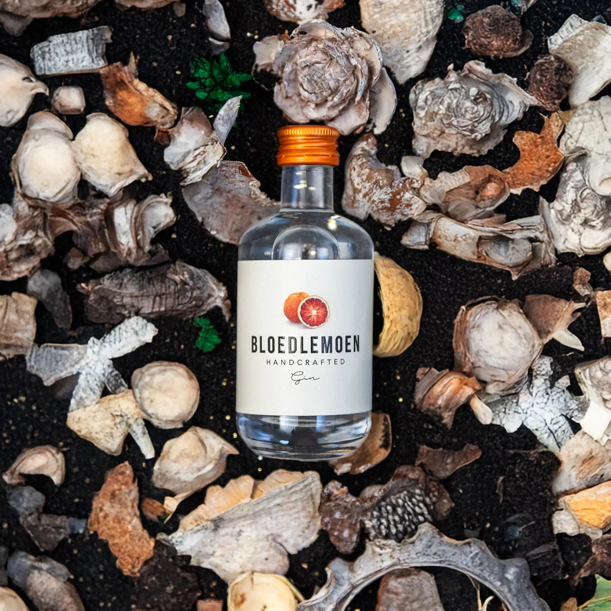 Bloedlemoen Miniatur