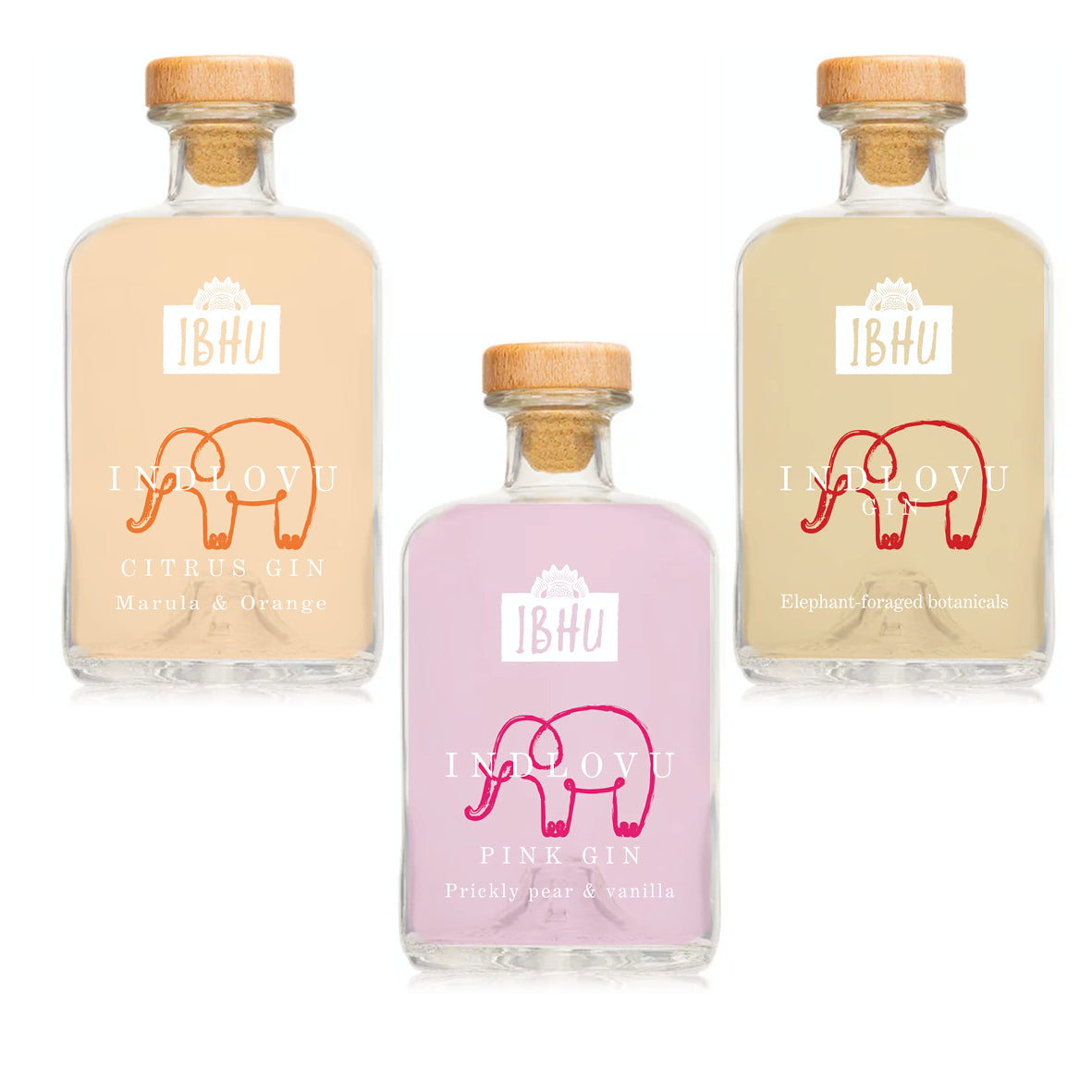 Elephant Time 🐘 3 x Ibhu Indlovu – Classic, Pink und Marula & Orange