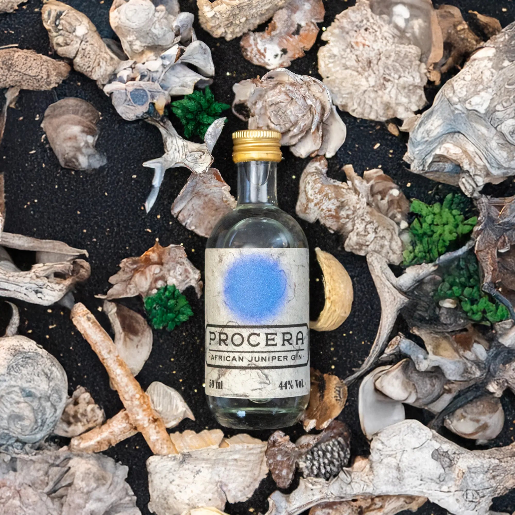 Procera Blue Dot Miniatur