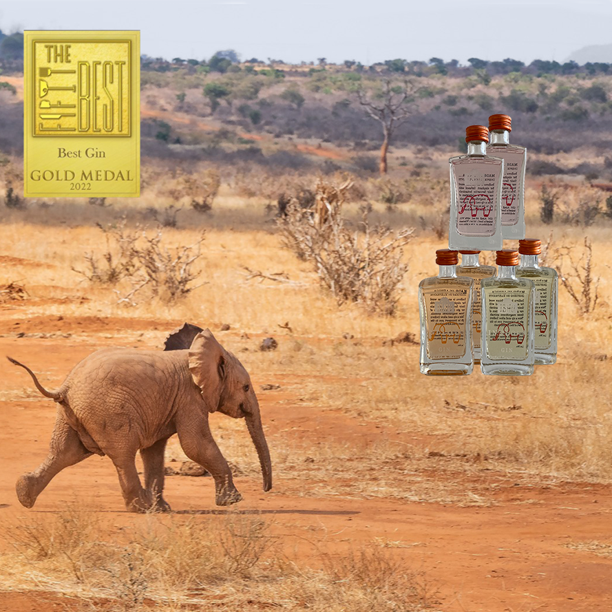 Indlovu Classic, Pretty in Pink und Marula & Orange. Das Trio des Elefanten Gins auch in kleinen Flaschen à 50 ml Shots – perfekt als Geschenk!