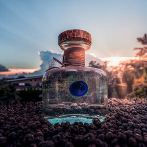  Juniperus Procera – geerntet wird der Wachholder grün und wird sofort eingefroren, damit er völlig frisch bleibt. Das Procera -Feeling ist einzigartig.