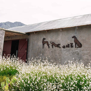 Six Dogs Destillerie in Worcester, mitten in der Natur  im Herzen der Karoo Südafrika