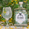 Six Dogs Karoo Gin, klassischer Dry Gin mit Karoo Thorn und wildem Lavendel. Spritziger Gin Tonic.