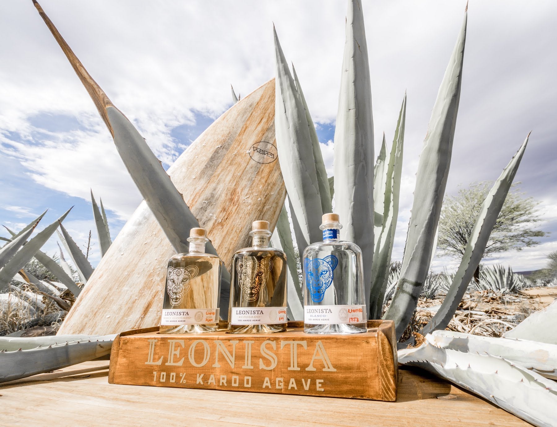 Alle Leonista – Agave Spirits 100% Karoo